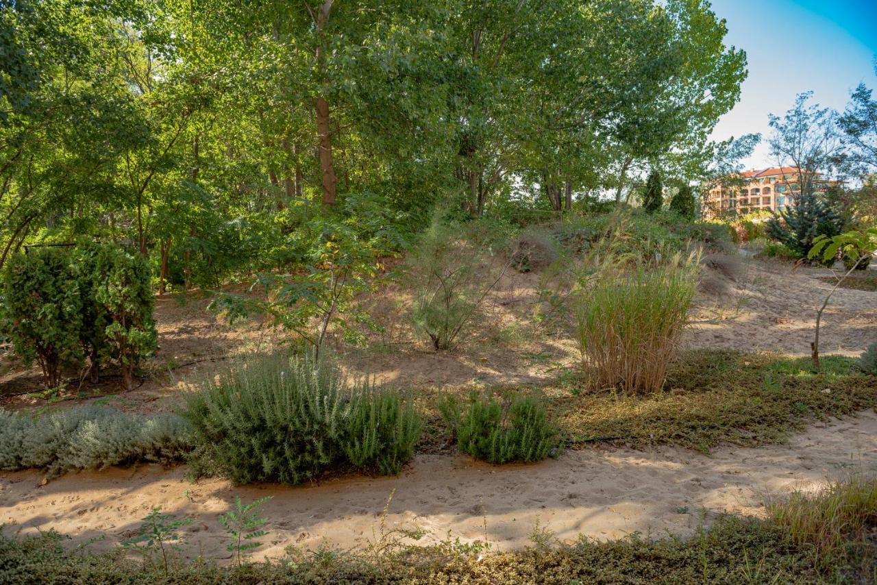 Menada Dune Residence Apartments Słoneczny Brzeg Zewnętrze zdjęcie